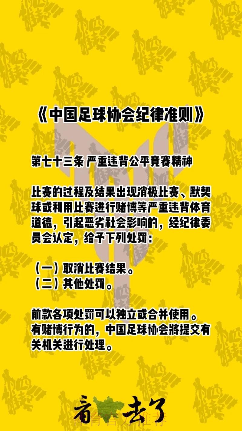 中国足协出台新版纪律准则